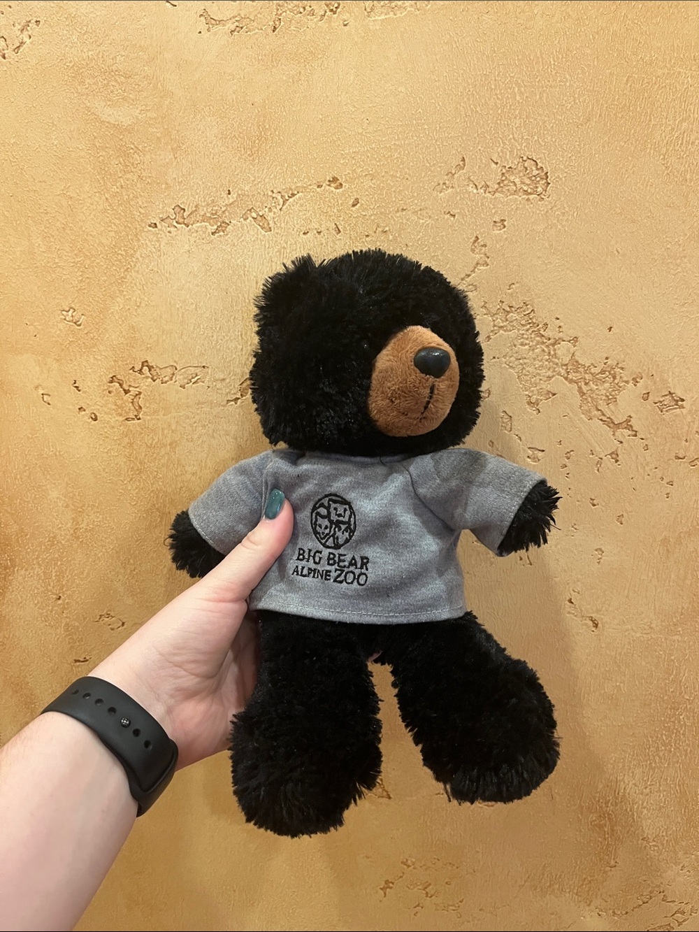 Big Bear Black Plush Bear